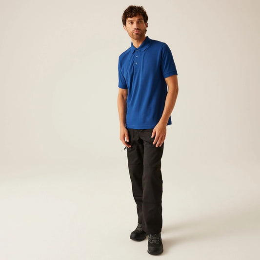Classic Polo Royal