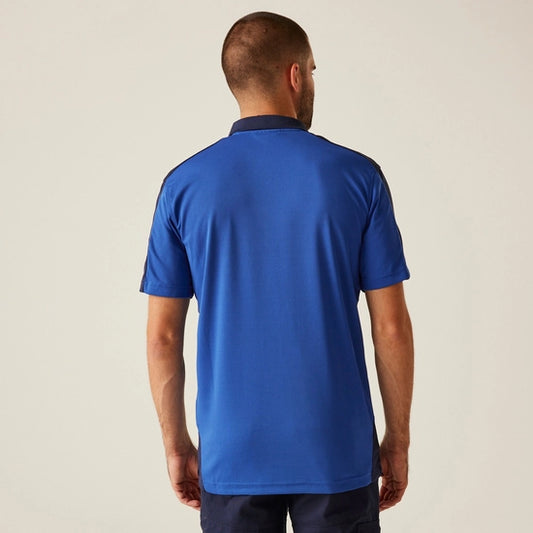 Classic Polo Royal